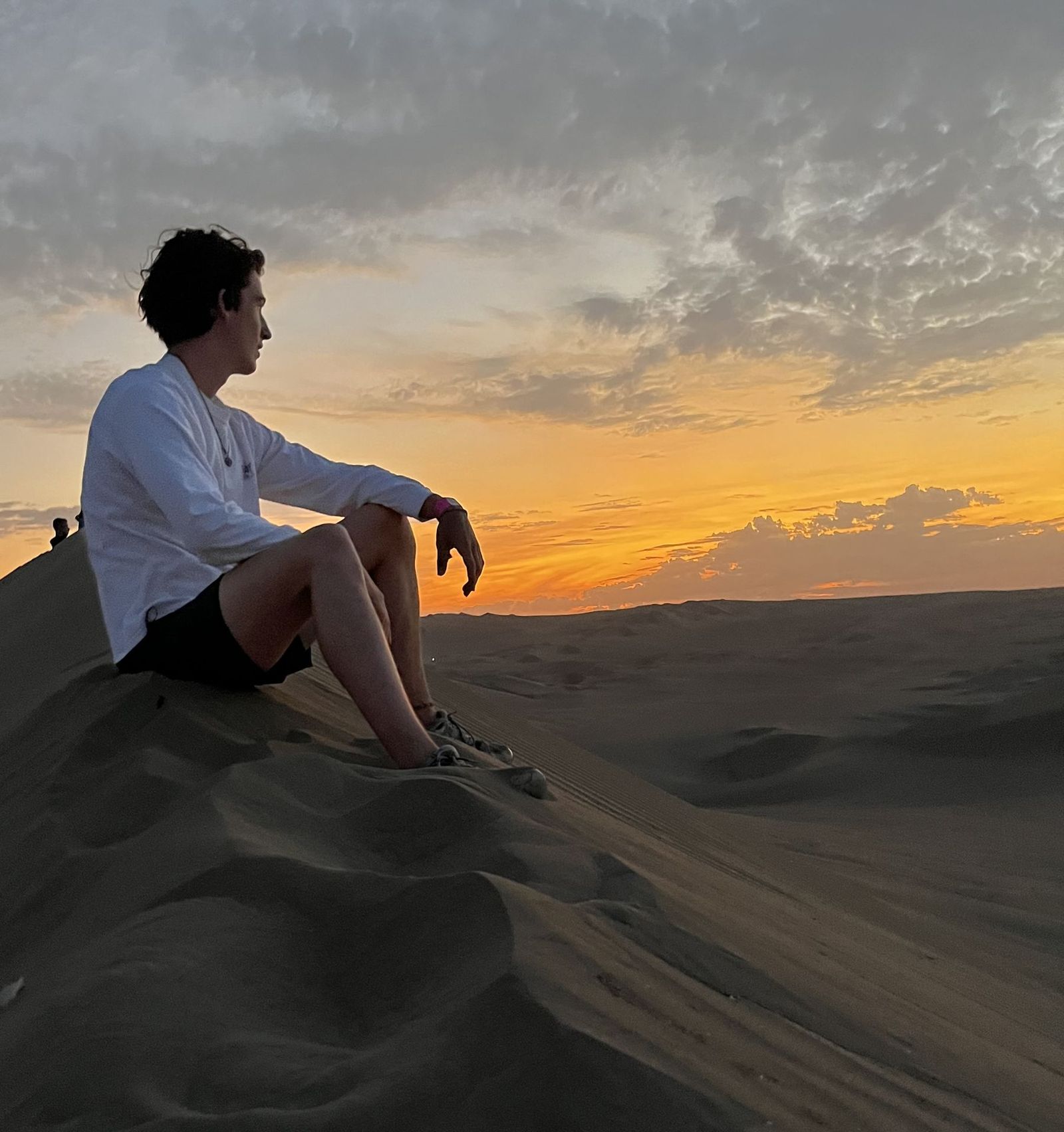 A dune ridge at sunset.