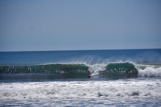 A clean wave with a surfer in the curl — wide horizon, blue water.